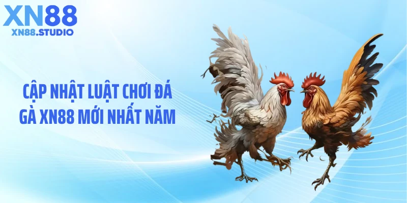 Cập nhật luật chơi đá gà XN88 mới nhất năm