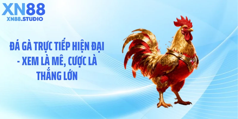 Đá Gà Trực Tiếp Hiện Đại - Xem Là Mê, Cược Là Thắng Lớn