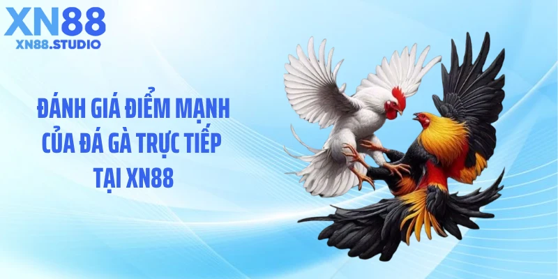 Đánh giá điểm mạnh của đá gà trực tiếp tại XN88