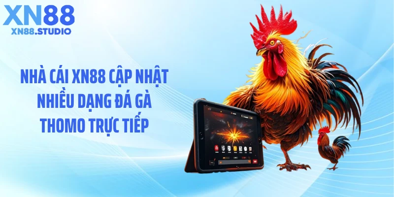 Nhà cái XN88 cập nhật nhiều dạng đá gà Thomo trực tiếp