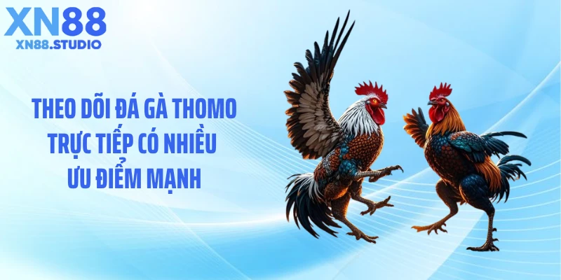 Theo dõi đá gà Thomo trực tiếp có nhiều ưu điểm mạnh